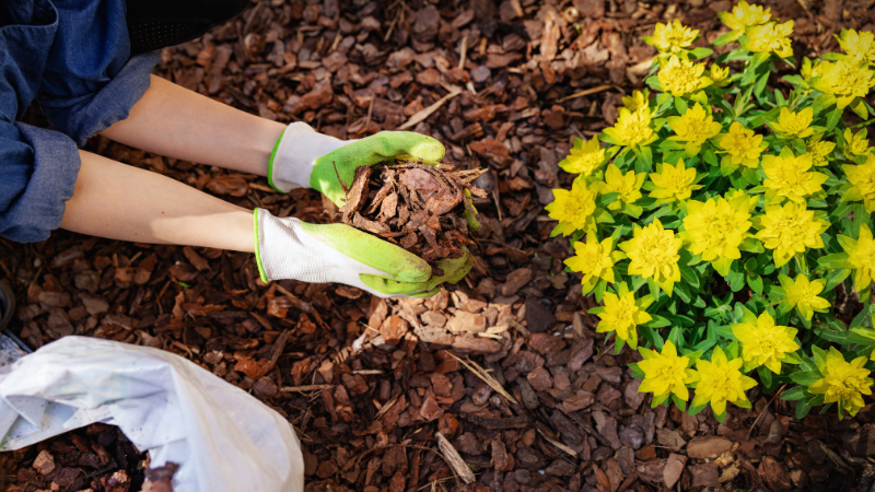 Preparing Your Home for Summer Showings: Seller Tips That Work | Crye-Leike Real Estate Services